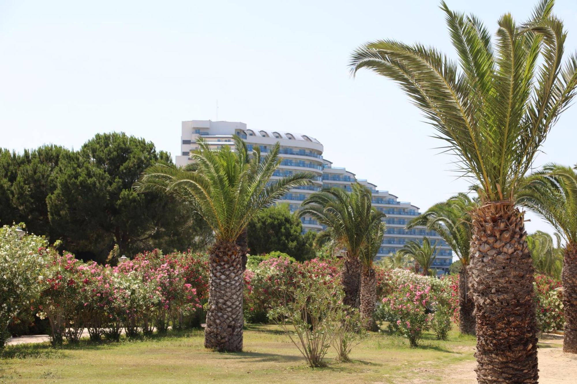 Venosa Beach Resort & Spa Didim Eksteriør bilde